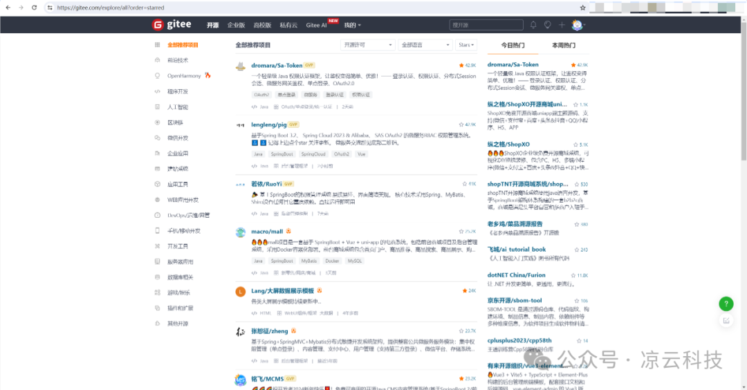 纪念：1541天，Sa-Token 登顶 Gitee 推荐榜 Top 1